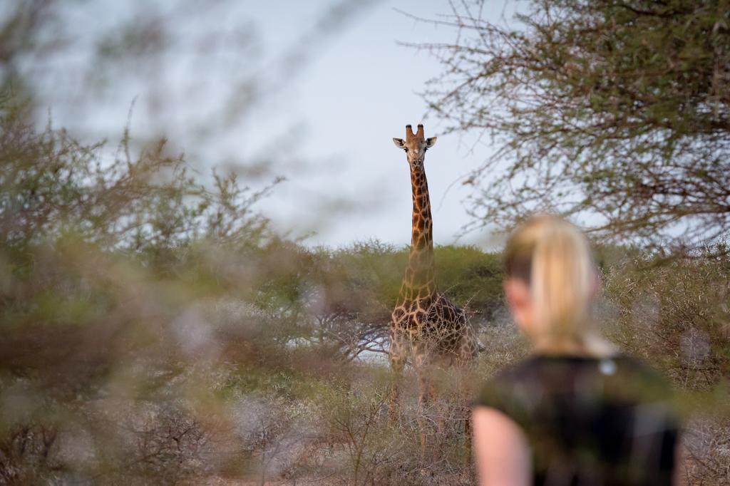 Klaserie River Safari Lodge Hoedspruit Eksteriør billede