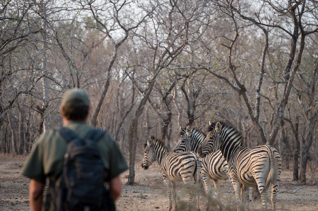 Klaserie River Safari Lodge Hoedspruit Eksteriør billede