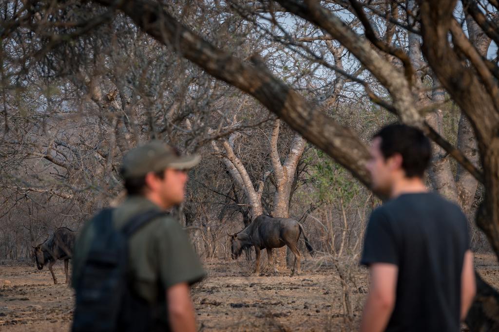 Klaserie River Safari Lodge Hoedspruit Eksteriør billede